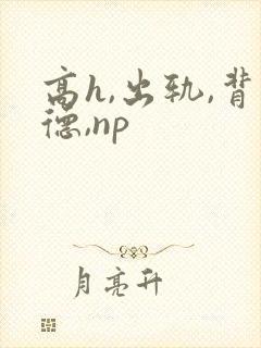 高h,出轨,背德,np