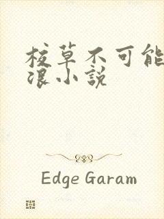 校草不可能这么浪小说封面