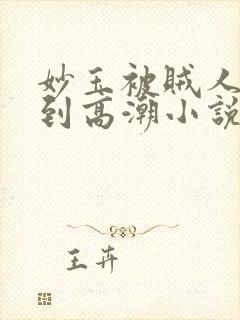 妙玉被贼人蹂躏到高潮小说最新章节