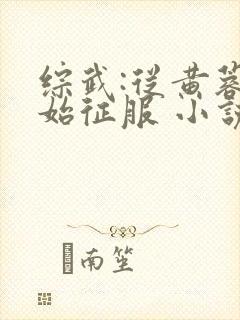 综武:从黄蓉开始征服 小说封面