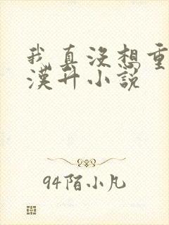 我真没想重生陈汉升小说