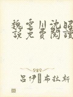 魏云川沈昭禾小说免费阅读笔趣阁