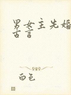 男女主先婚后爱古言