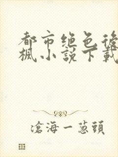 都市绝色后宫秦枫小说下载