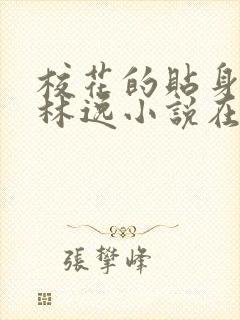 校花的贴身高手林逸小说在线阅读全文免费