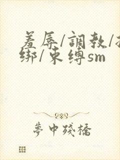 羞辱/调教/捆绑/束缚sm封面