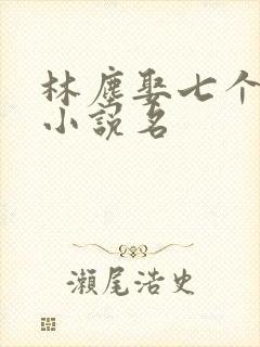 林尘娶七个嫂嫂小说名封面