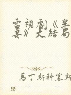 电视剧《半路夫妻》大结局