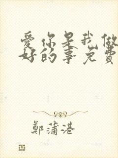 爱你是我做过最好的事免费全文阅读