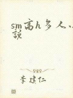 sm高h多人小说