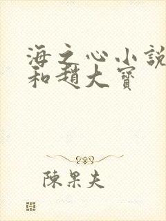 海之心小说苏媚和赵大宝