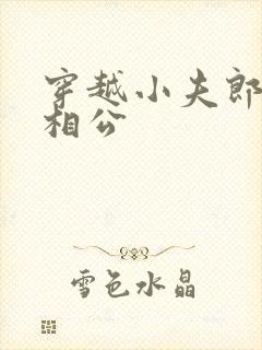 穿越小夫郎的狼相公