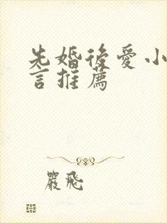 先婚后爱小说现言推荐封面