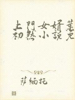 上门女婿叶辰萧初然小说免费阅读无弹窗