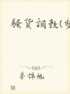 骚货调教(双性封面