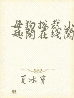 母狗总裁小说笔趣阁在线阅读