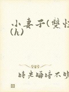 小妻子(双性)(h)