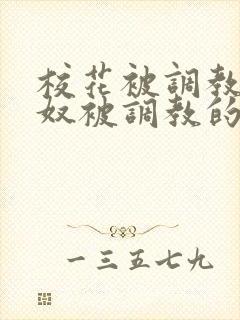 校花被调教成贱奴被调教的小说