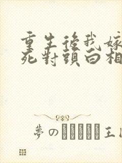 重生后我嫁给了死对头白相星