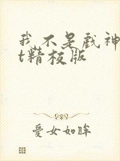 我不是戏神txt精校版封面