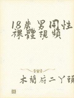 18岁男同性恋裸体视频封面