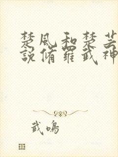 楚风和楚芸的小说修罗武神小说
