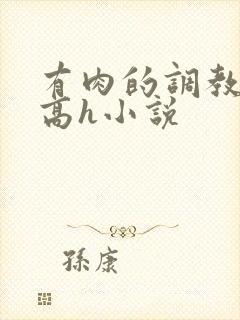 有肉的调教np高h小说封面