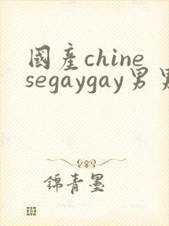 国产chinesegaygay男男网站