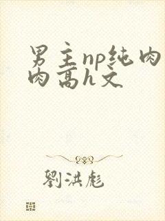 男主np纯肉巨肉高h文