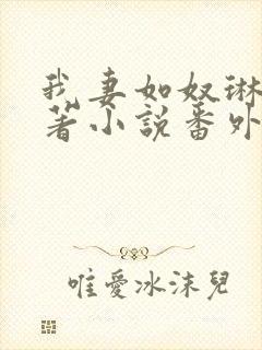 我妻如奴琳涛原著小说番外