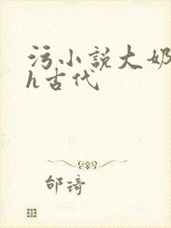污小说大奶子高h古代