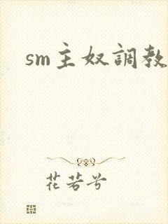 sm主奴调教