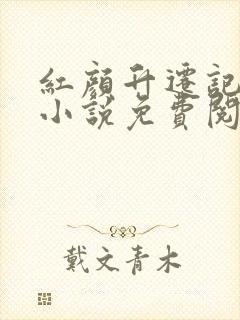 红颜升迁记原著小说免费阅读