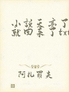 小说天亮了,你就回来了txt