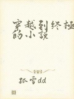 穿越到终极斗罗的小说