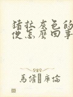 猪拉灰色的是稀便怎么回事