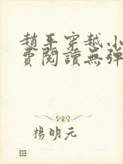 赵平穿越小说免费阅读无弹窗