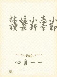 林姨小志小说阅读最新章节