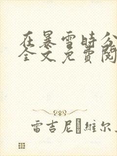 在暴雪时分小说全文免费阅读无删减封面