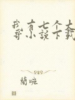 我有七个大佬哥哥小说下载