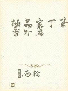 极品家丁萧夫人番外篇