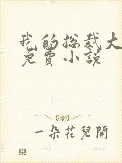 我的总裁大老婆免费小说