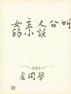 女主人公叫沈鸾的小说