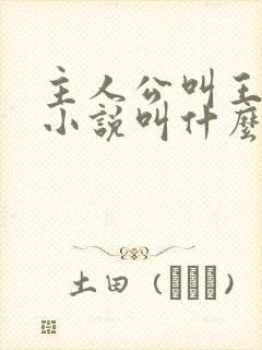 主人公叫王峰的小说叫什么名字