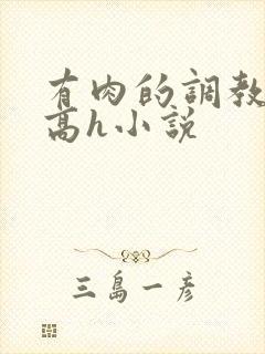 有肉的调教np高h小说封面