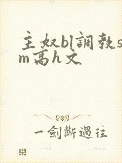 主奴bl调教sm高h文封面