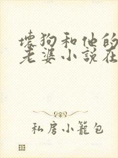 坏狗和他的可爱老婆小说在线阅读全文