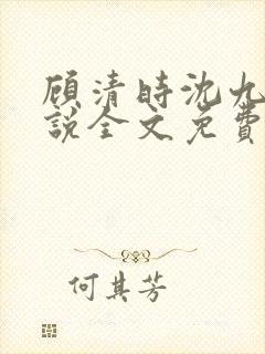 顾清时沈九笙小说全文免费阅读全文