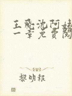 王飞沈阿姨第十一章免费阅读