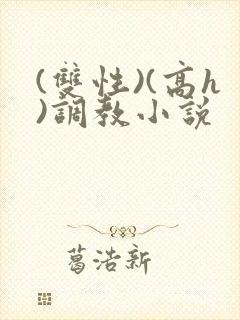 (双性)(高h)调教小说封面